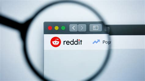 unddit|how to search on removeddit.